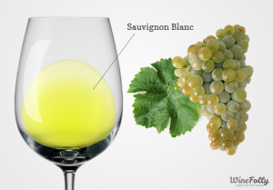 白蘇維濃 Sauvignon Blanc - ７款適合配生蠔的葡萄酒